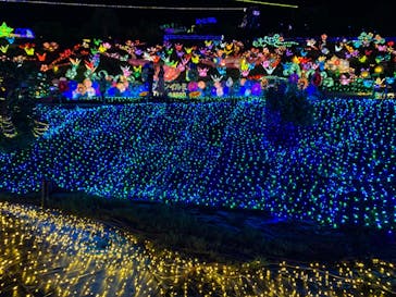 伊豆ぐらんぱる公園に投稿された画像（2022/8/21）