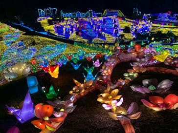 伊豆ぐらんぱる公園に投稿された画像（2022/8/21）