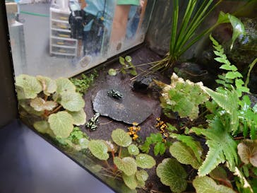 サンシャイン水族館に投稿された画像（2022/8/21）