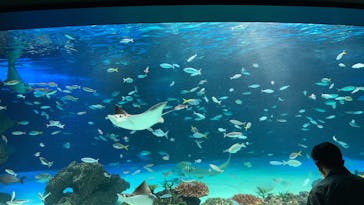 サンシャイン水族館に投稿された画像（2022/8/21）
