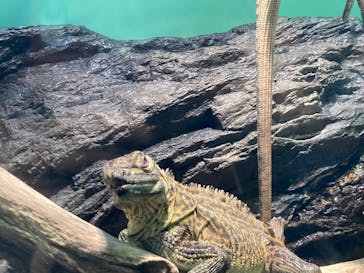 サンシャイン水族館に投稿された画像（2022/8/21）