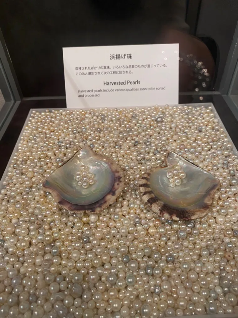 ミキモト真珠島の口コミ ｜展示物の見どころが随所にあった｜アソビュー！