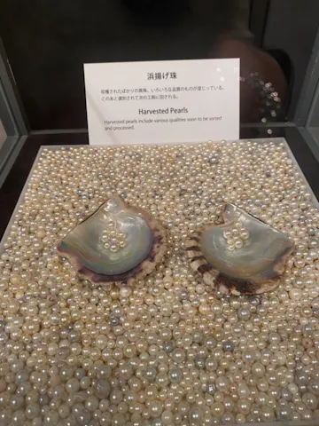 ミキモト真珠島の口コミ ｜展示物の見どころが随所にあった｜アソビュー！