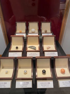 ミキモト真珠島に投稿された画像（2022/8/21）