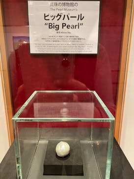 ミキモト真珠島に投稿された画像（2022/8/21）