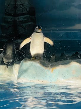 名古屋港水族館に投稿された画像（2022/8/21）