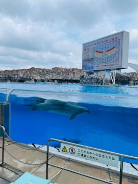 名古屋港水族館に投稿された画像（2022/8/21）