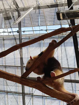 神戸どうぶつ王国に投稿された画像（2022/8/21）