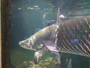 神戸どうぶつ王国に投稿された画像（2022/8/21）