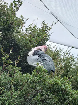 神戸どうぶつ王国に投稿された画像（2022/8/21）