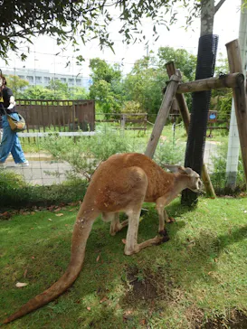 神戸どうぶつ王国に投稿された画像（2022/8/21）