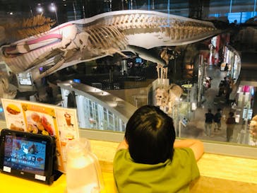 国立科学博物館に投稿された画像（2022/8/21）