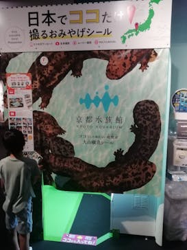 京都水族館に投稿された画像（2022/8/21）