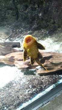 サンシャイン水族館に投稿された画像（2022/8/21）