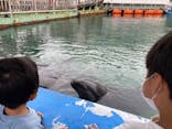 下田海中水族館に投稿された画像（2022/8/21）