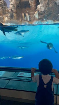 名古屋港水族館に投稿された画像（2022/8/21）