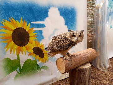 富士花鳥園に投稿された画像（2022/8/21）