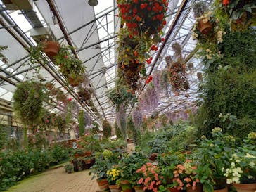 富士花鳥園に投稿された画像（2022/8/21）