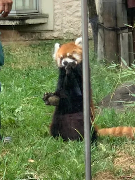 天王寺動物園に投稿された画像（2022/8/21）