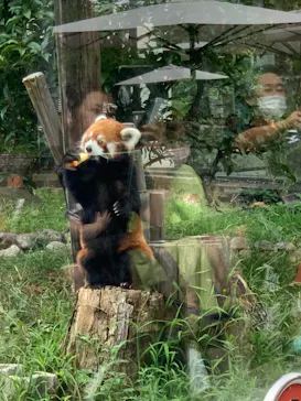 天王寺動物園に投稿された画像（2022/8/21）