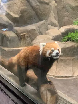 天王寺動物園に投稿された画像（2022/8/21）