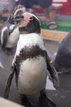 南知多ビーチランド＆南知多おもちゃ王国に投稿された画像（2022/8/21）