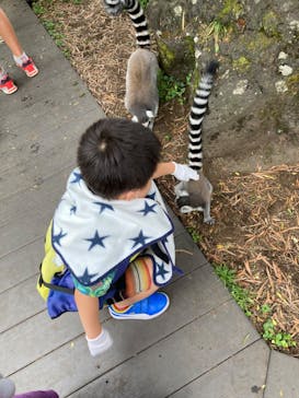 伊豆シャボテン動物公園に投稿された画像（2022/8/21）