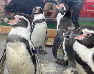 南知多ビーチランド＆南知多おもちゃ王国に投稿された画像（2022/8/21）