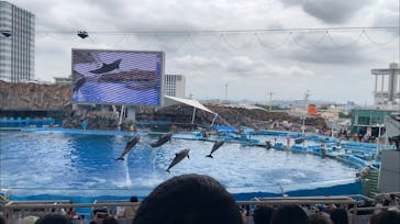名古屋港水族館に投稿された画像（2022/8/21）