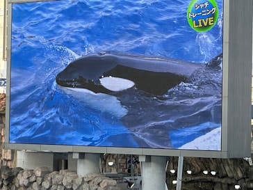 名古屋港水族館に投稿された画像（2022/8/21）