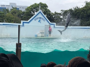 しながわ水族館に投稿された画像（2022/8/21）
