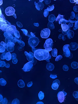 すみだ水族館に投稿された画像（2022/8/21）