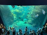 新江ノ島水族館に投稿された画像（2022/8/21）