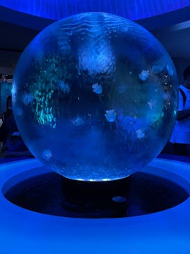 新江ノ島水族館に投稿された画像（2022/8/21）