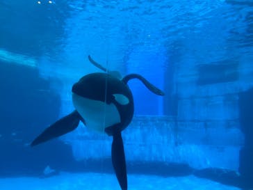 名古屋港水族館に投稿された画像（2022/8/21）