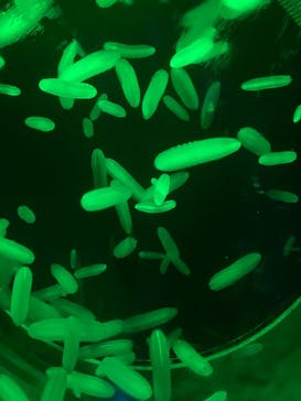 アクアワールド茨城県大洗水族館に投稿された画像（2022/8/21）