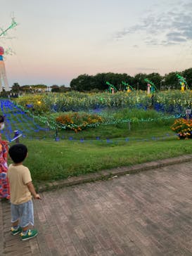 せんだい農業園芸センター　みどりの杜に投稿された画像（2022/8/21）