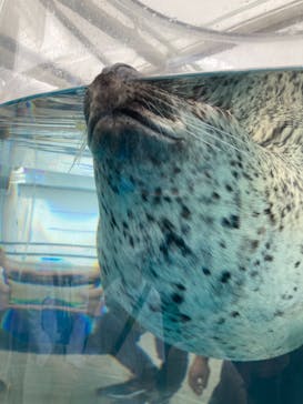 京都水族館×ニデック京都タワーに投稿された画像（2022/8/21）