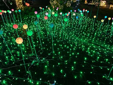 伊豆ぐらんぱる公園に投稿された画像（2022/8/21）