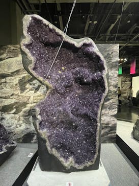 特別展「宝石　地球がうみだすキセキ」（名古屋市科学館　理工館地下２階イベントホール）に投稿された画像（2022/8/21）