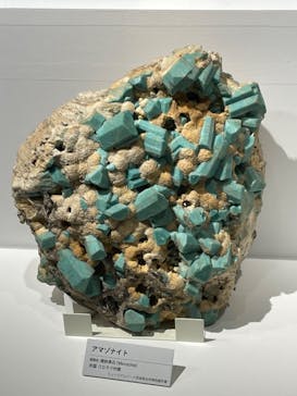 特別展「宝石　地球がうみだすキセキ」（名古屋市科学館　理工館地下２階イベントホール）に投稿された画像（2022/8/21）