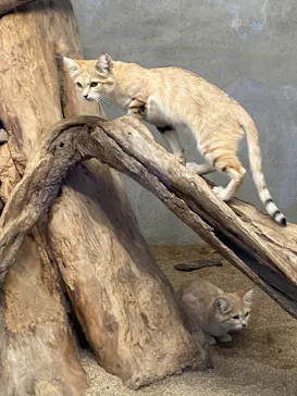 神戸どうぶつ王国に投稿された画像（2022/8/21）