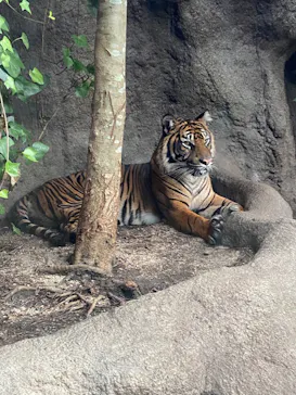 神戸どうぶつ王国に投稿された画像（2022/8/21）