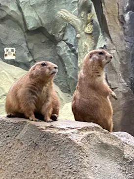 神戸どうぶつ王国に投稿された画像（2022/8/21）