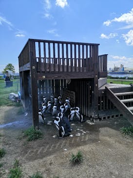 名古屋港水族館に投稿された画像（2022/8/21）