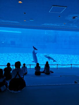 名古屋港水族館に投稿された画像（2022/8/21）