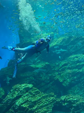 仙台うみの杜水族館に投稿された画像（2022/8/21）