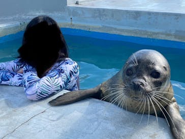 南知多ビーチランド＆南知多おもちゃ王国に投稿された画像（2022/8/21）