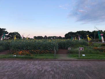 せんだい農業園芸センター　みどりの杜に投稿された画像（2022/8/21）