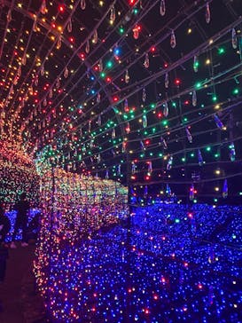 伊豆ぐらんぱる公園に投稿された画像（2022/8/21）